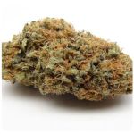 Шишки AK47 (Гидропоника, Бошка) VHQ в Северобайкальске Шишки AK47 (Гидропоника, Бошка) VHQ в Северобайкальске