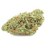 Шишки OG Kush (Гидропоника, бошки) VHQ в Северобайкальске Шишки OG Kush (Гидропоника, бошки) VHQ в Северобайкальске